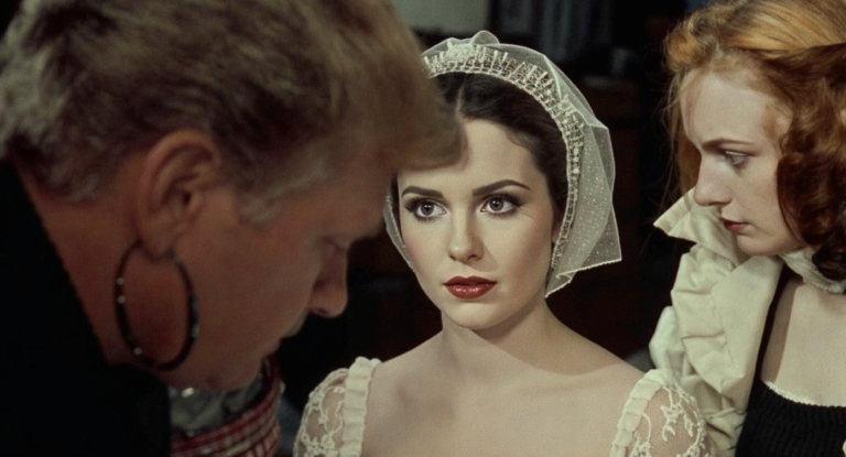 business contact management software - SalesCaptain