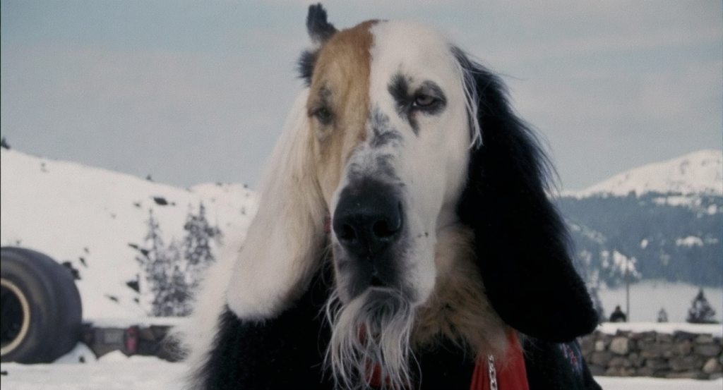 best highlevel alternative - SalesCaptain