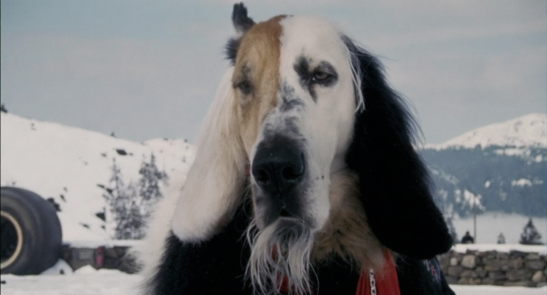 best highlevel alternative - SalesCaptain